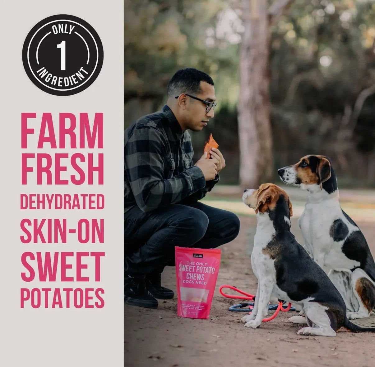 Natural Sweet Potato Chews for Dogs – Dehydrated Single Ingredient Treat