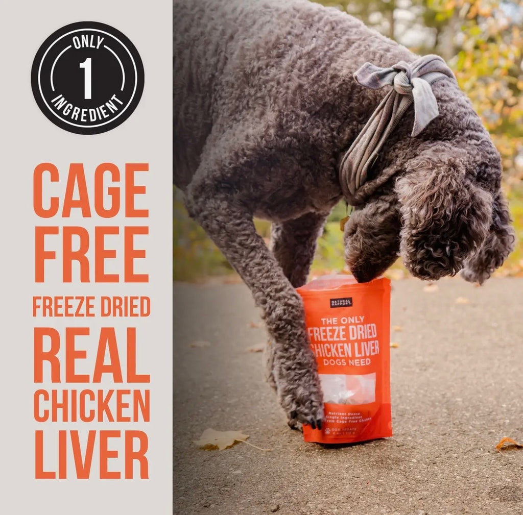 Freeze Dried Chicken Liver Dog Treats – Single Ingredient, Cage Free