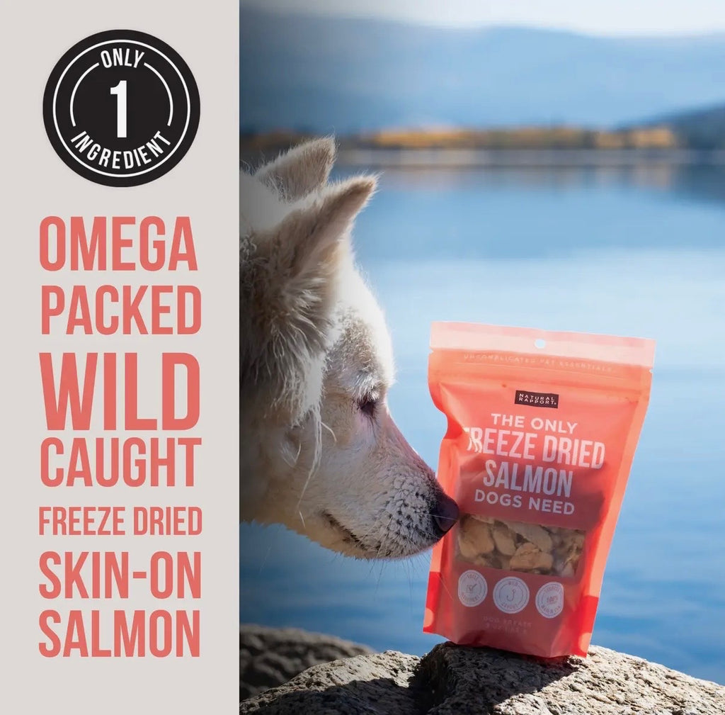 Natural Rapport Freeze Dried Salmon Dog Treats – Wild Caught, Single Ingredient